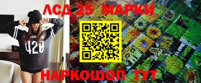спиды Кимры