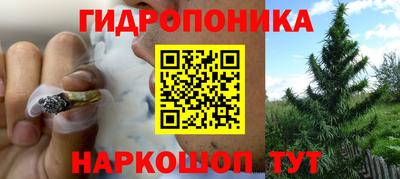 ГАЛЛЮЦИНОГЕННЫЕ ГРИБЫ Кинель