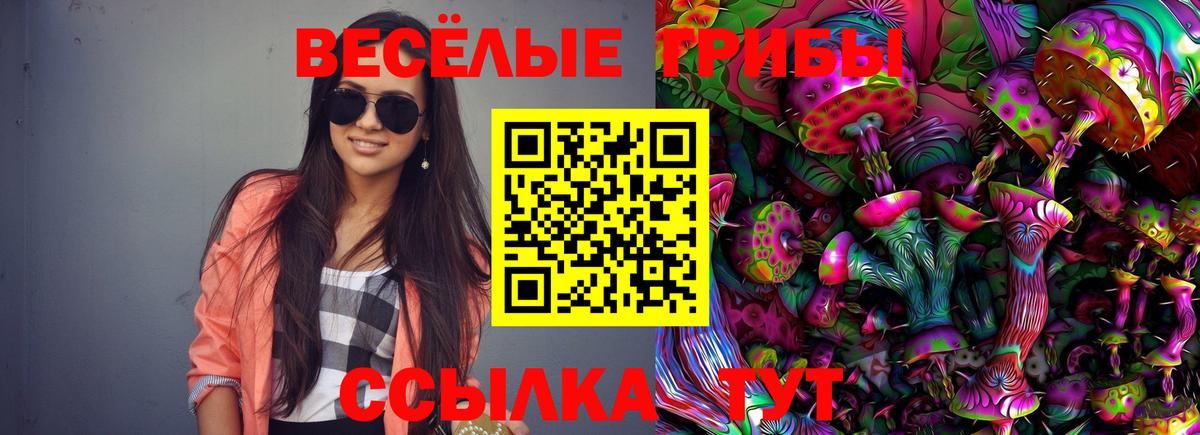 Чехов  Псилоцибиновые грибы Cubensis  Вход с VPN 