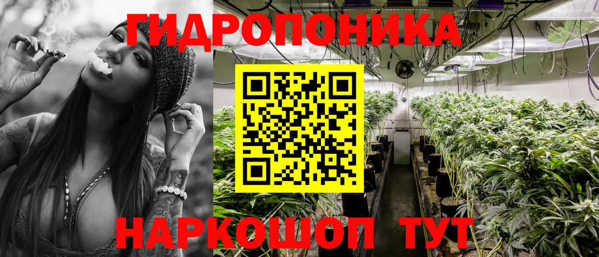 Чехов  Бошки Шишки сатива  Шишки марихуана White Widow  Шишки марихуана тримм  Вход с VPN  Каннабис ГИДРОПОН 